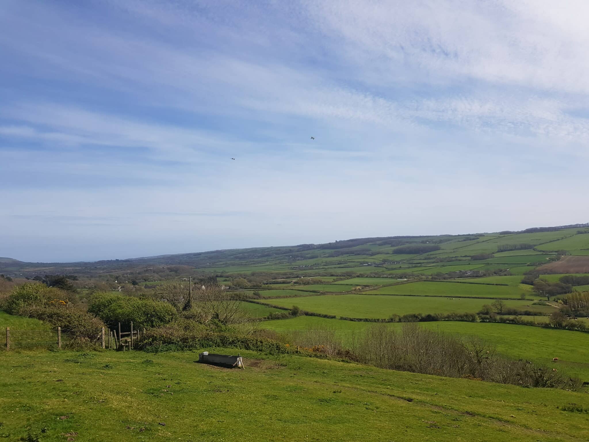 Dorset Group 22Aug25: Badbury Rings Guided Tour