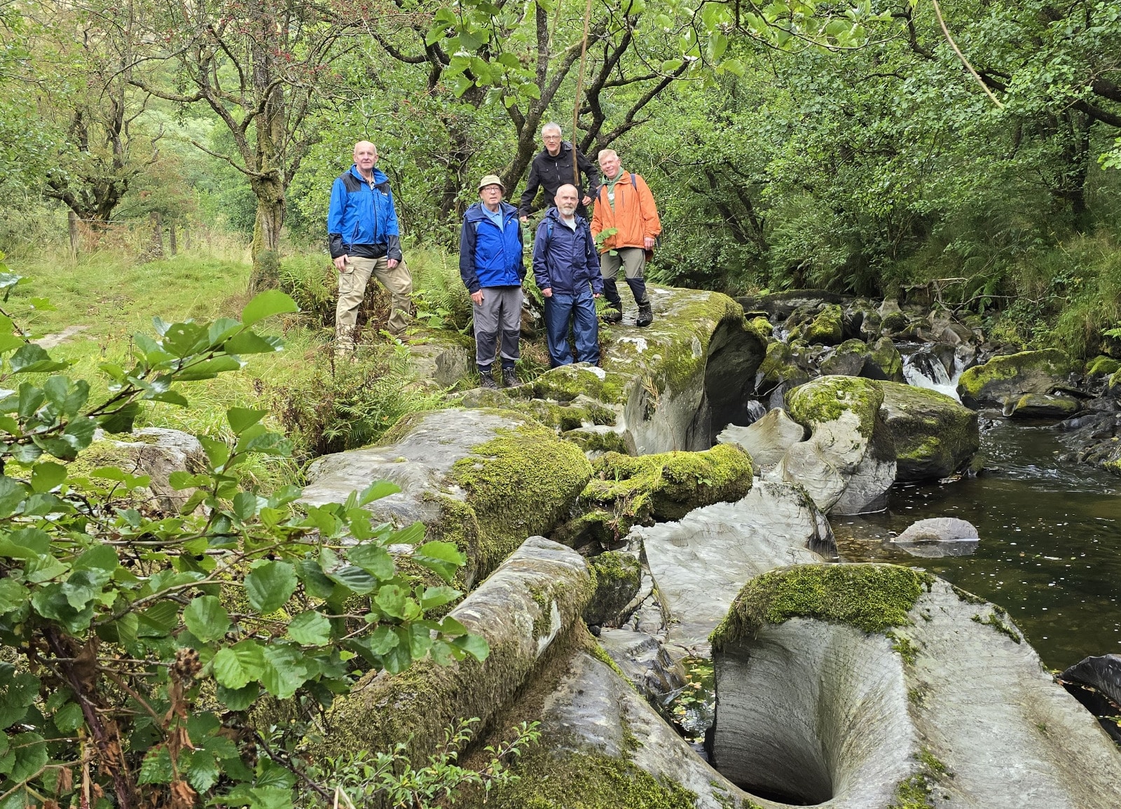 Gilfach Nature Reserve