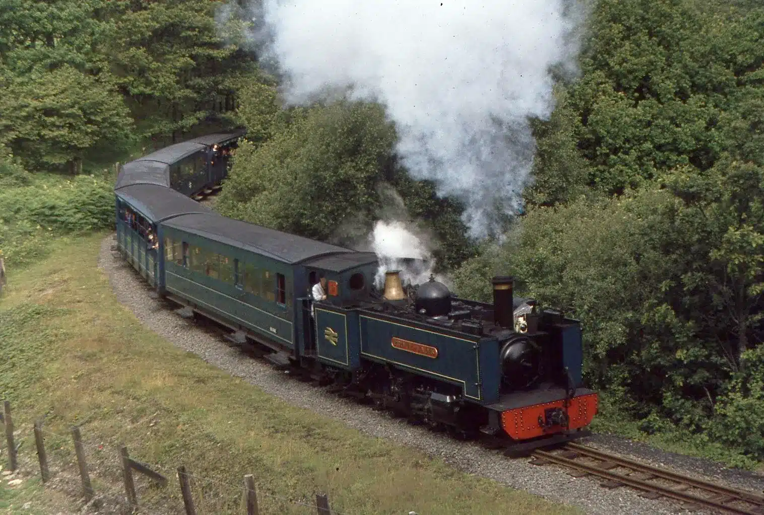 Steam train in woodland