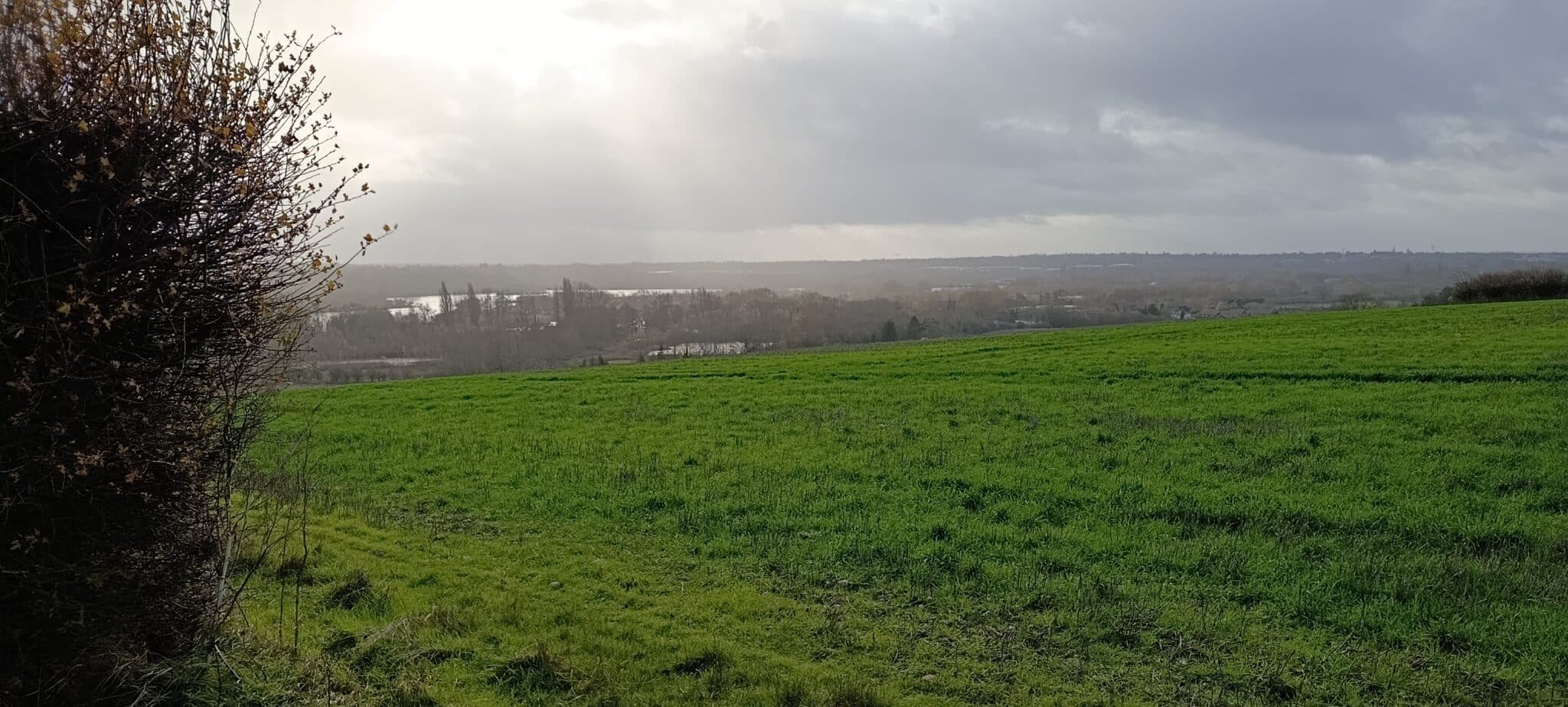 Christmas walk and lunch 6 December