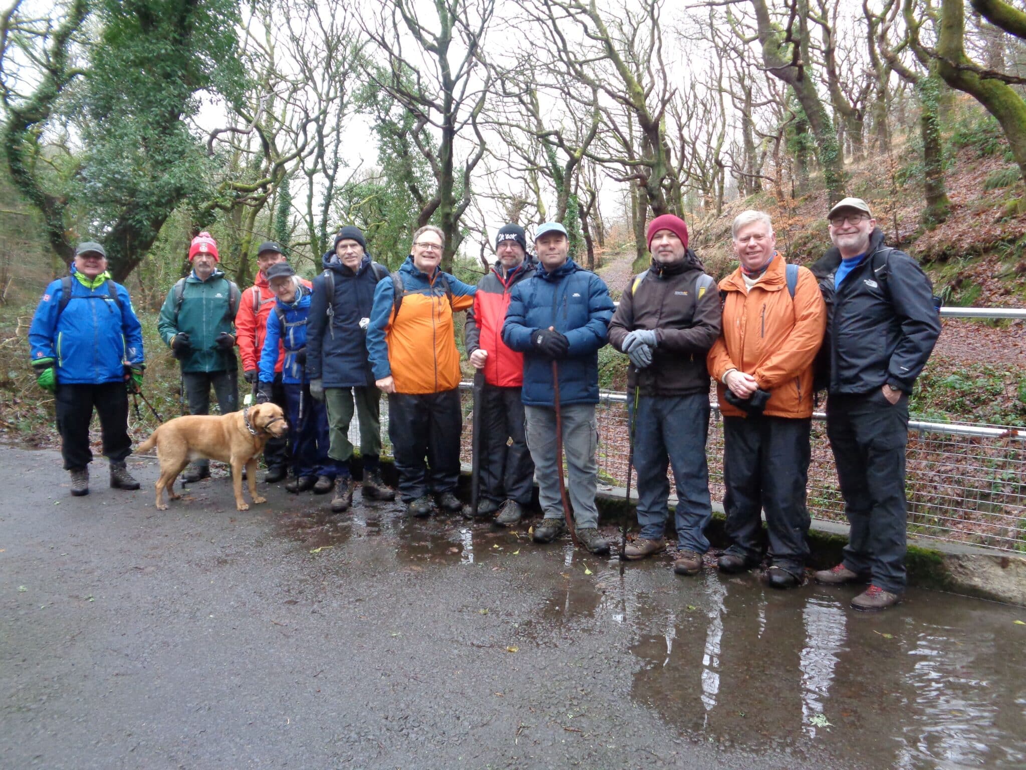 Eaglesbush valley, Gnoll park, Neath, and Neath canal