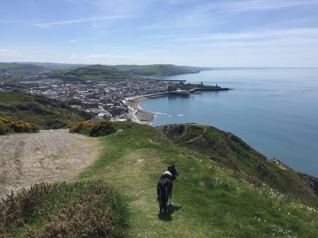 Aberystwyth from Constitution Hill