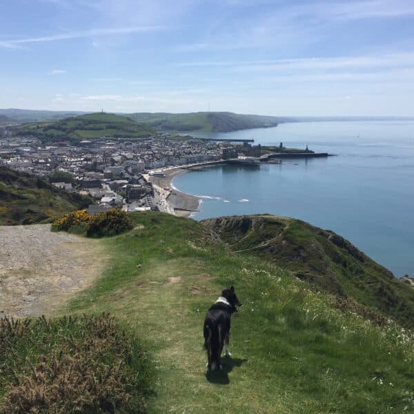 Aberystwyth from Constitution Hill