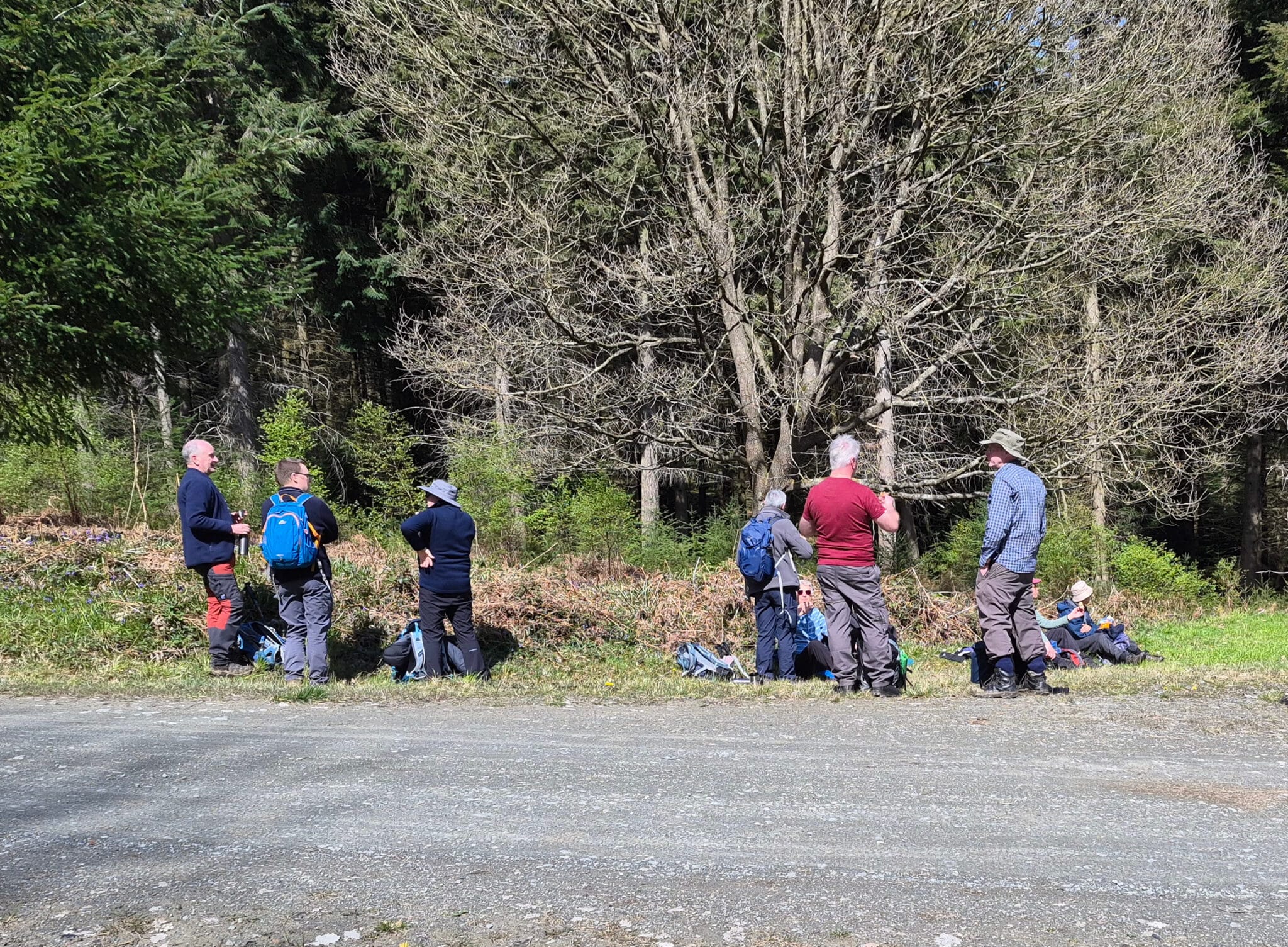 A Circular Walk in the Wyre Forest