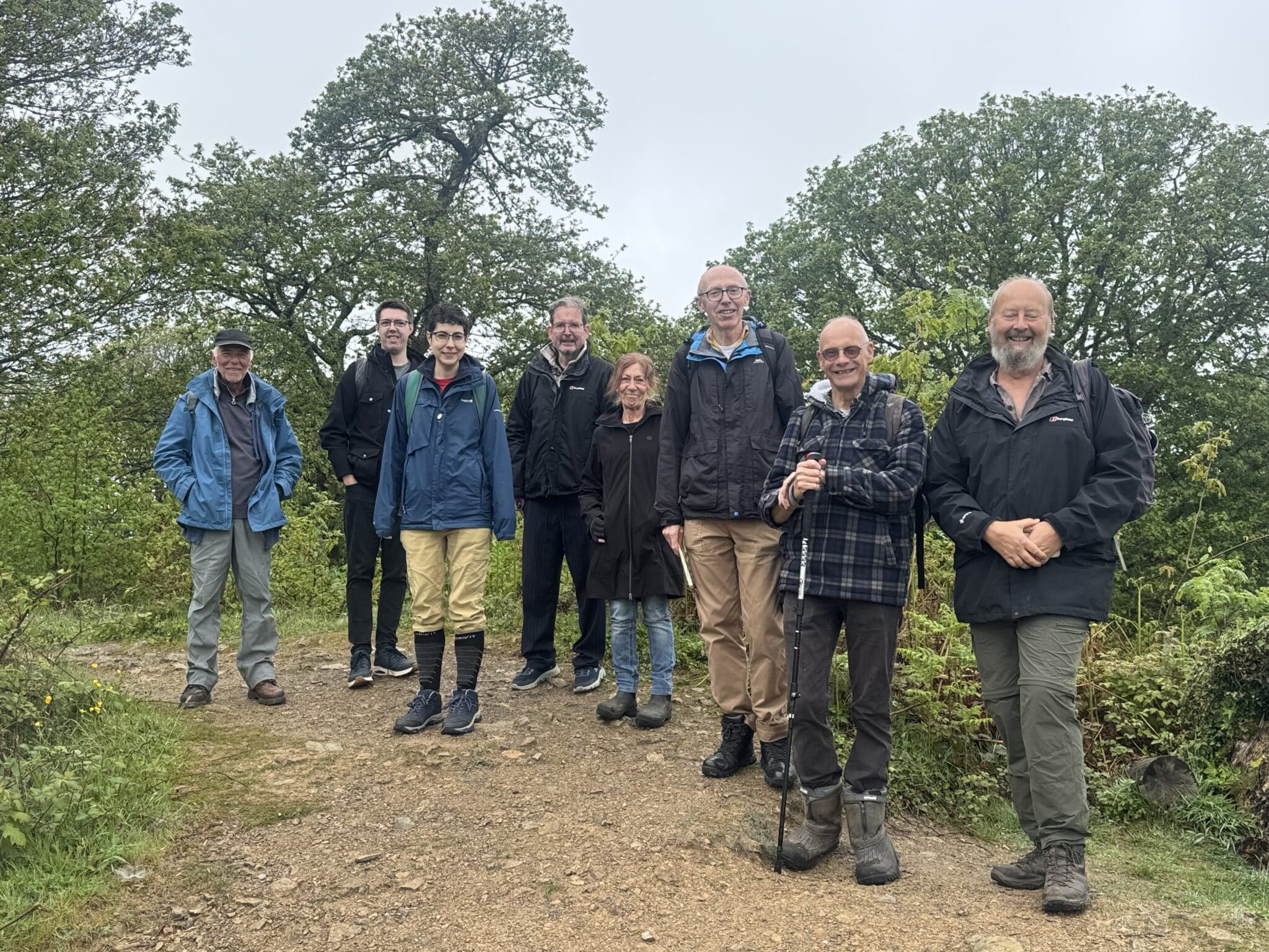 A scenic walk at Hembury Woods