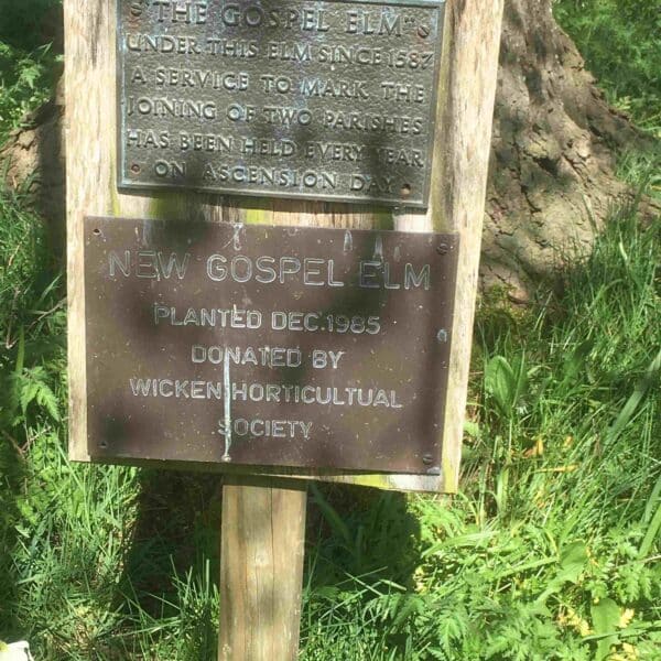 Wicken Gospel Elm