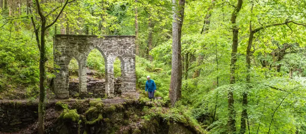 Hafod Estate