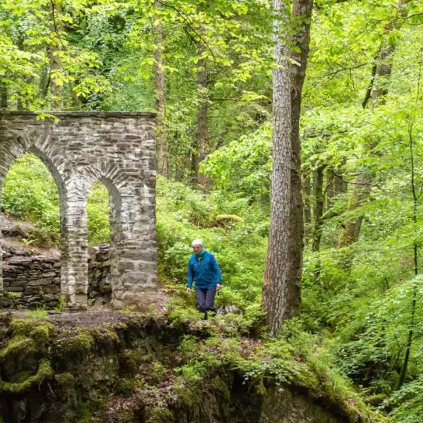 Hafod Estate