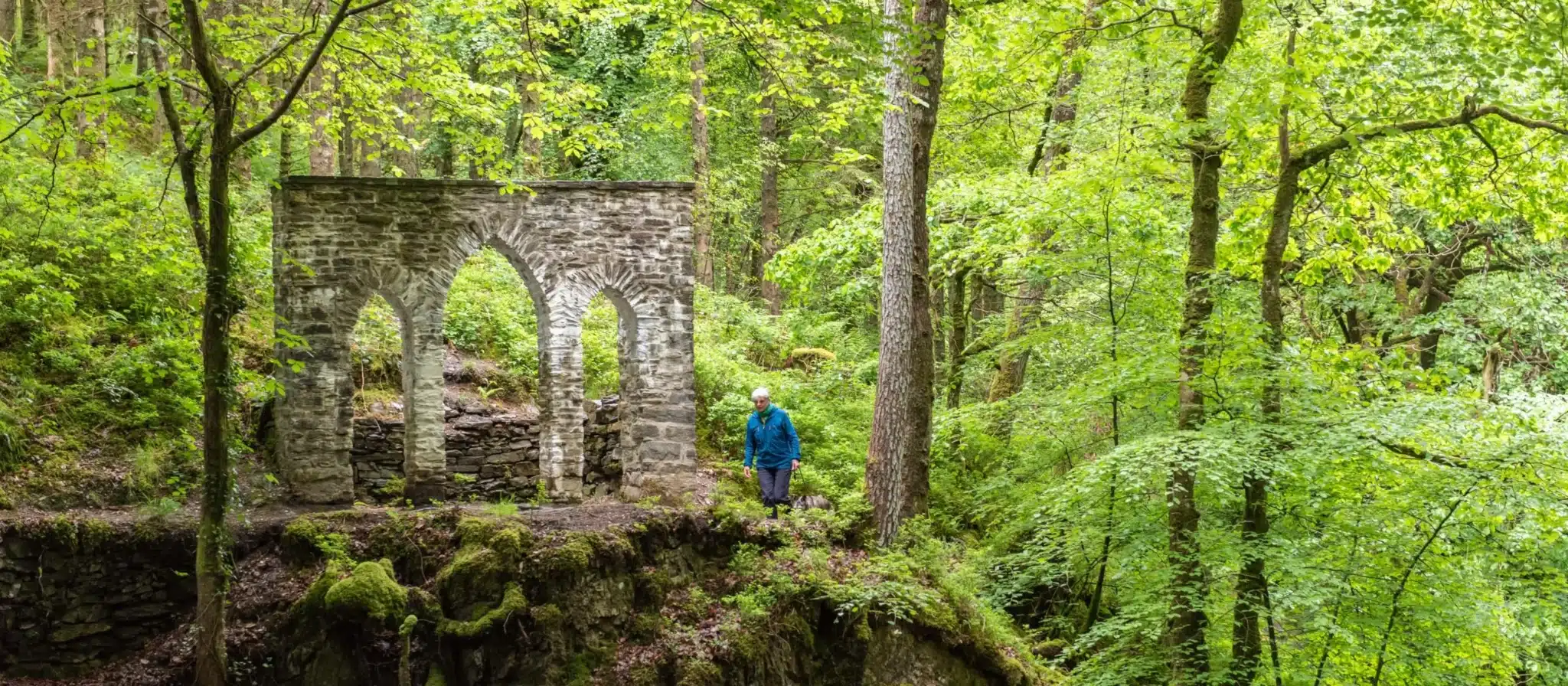 Hafod Estate